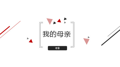 《 我的母亲》课件(共19张PPT)中职语文外研版基础模块下册.ppt