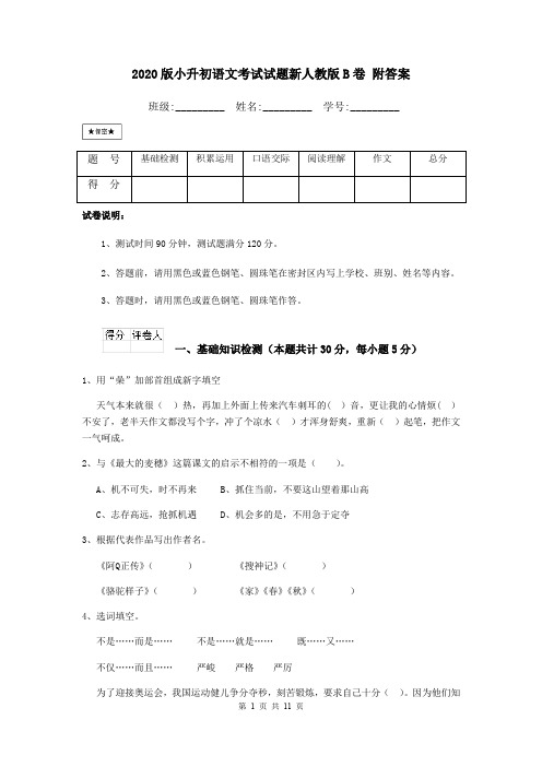 2020版小升初语文考试试题新人教版B卷 附答案