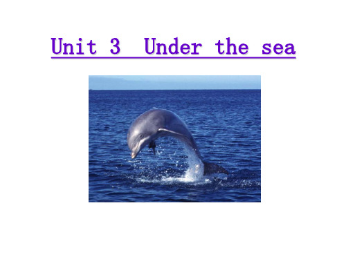 新人教选修七 Unit 3 Under the sea-Reading阅读