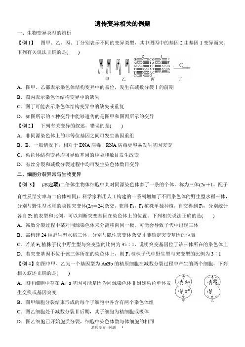 遗传变异相关例题