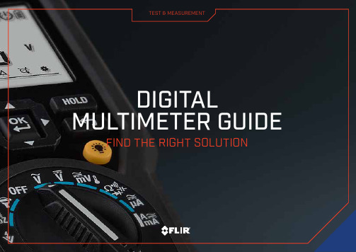 FLIR 数字多功能抄测仪指南说明书