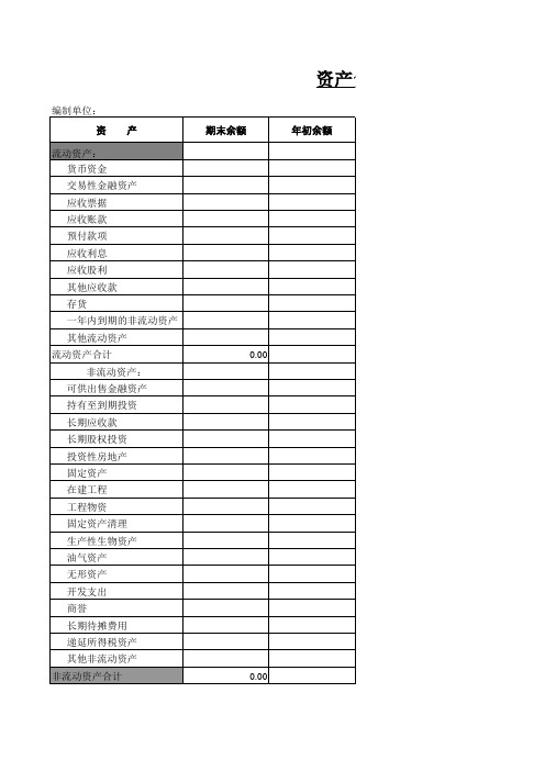 资产负债表模板