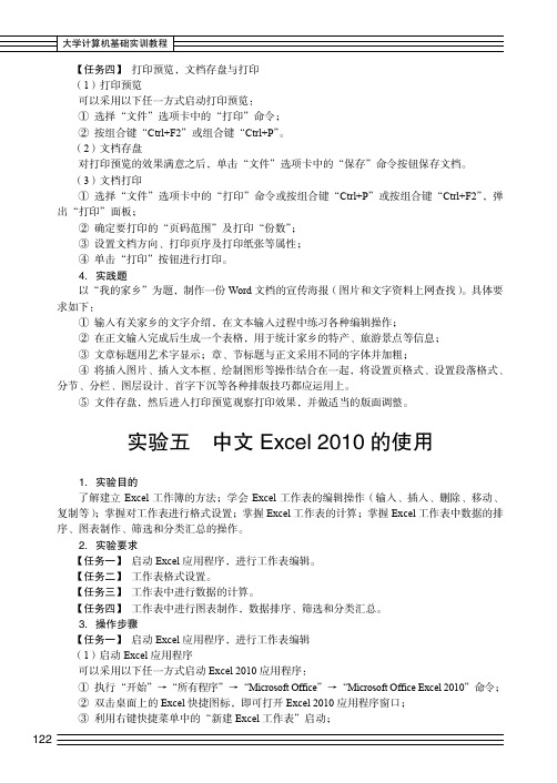 实验五  中文 Excel 2010的使用_大学计算机基础实训教程_[共4页]