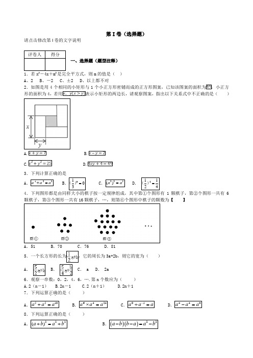 整式的乘法精选试题(含答案解析)