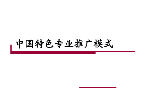 中国特色专业推广模式概述