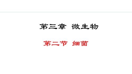 2.3.2  细菌课件(共26张PPT)2024-2025学年七年级人教版生物上册