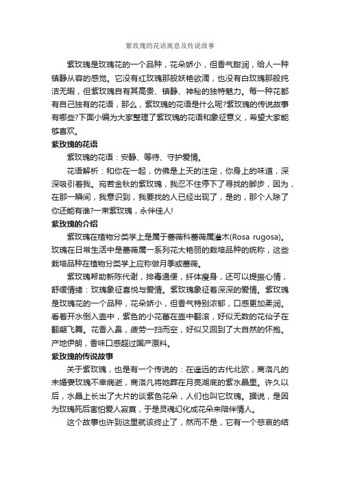 紫玫瑰的花语寓意及传说故事_鲜花礼仪_