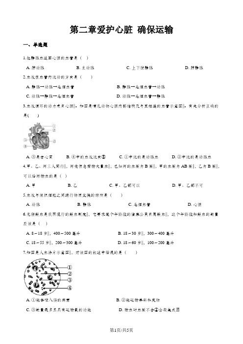 第二学期冀少版七年级下册生物第2单元第二章爱护心脏 确保运输单元测试(无答案)