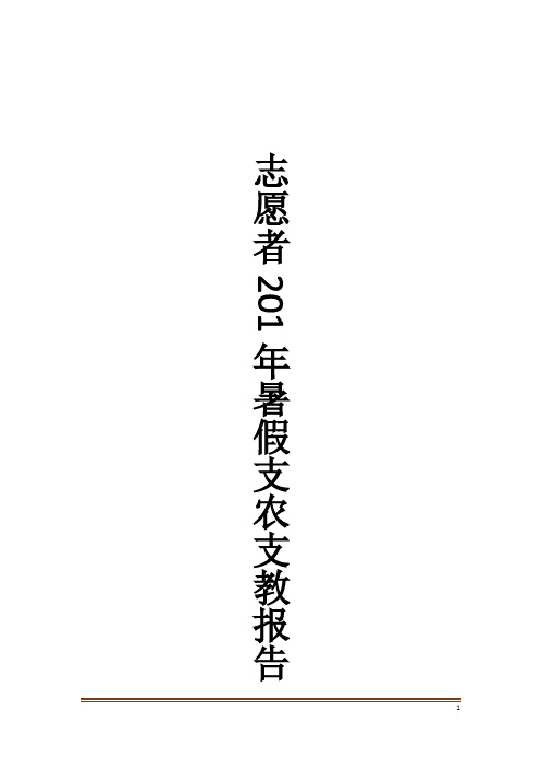 志愿者201年暑假支农支教报告