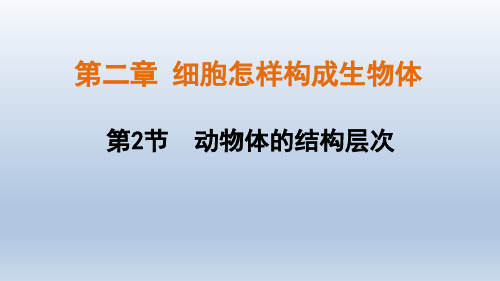 七年级生物上册2.2.2动物体的结构层次