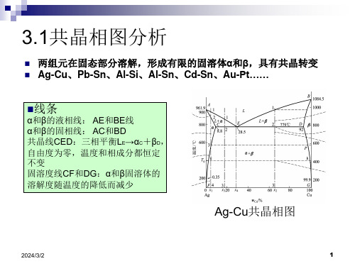 共晶相图及共晶系合金的凝固和组织ppt课件