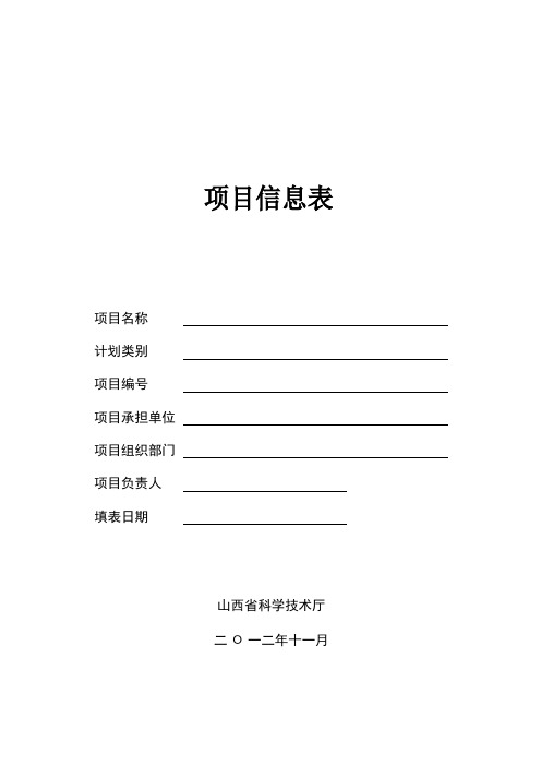 项目信息表模板