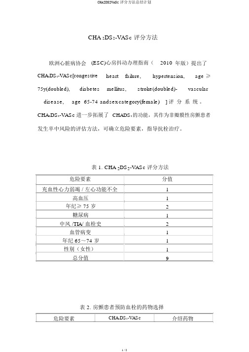 CHA2DS2VASc评分方法总结计划