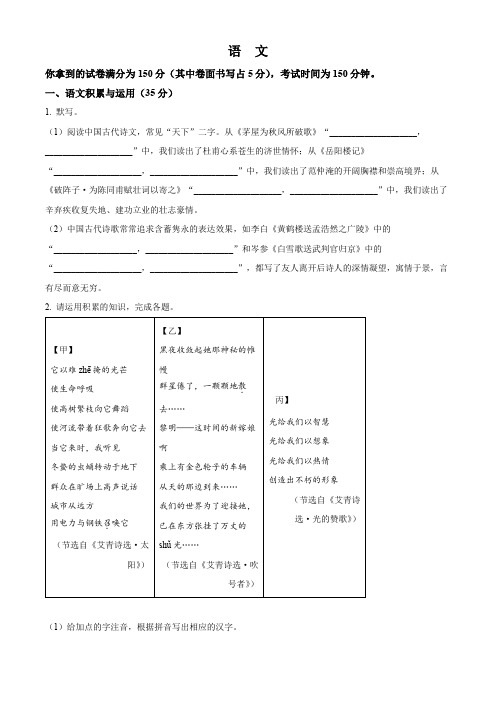 2024年安徽省中考语文真题