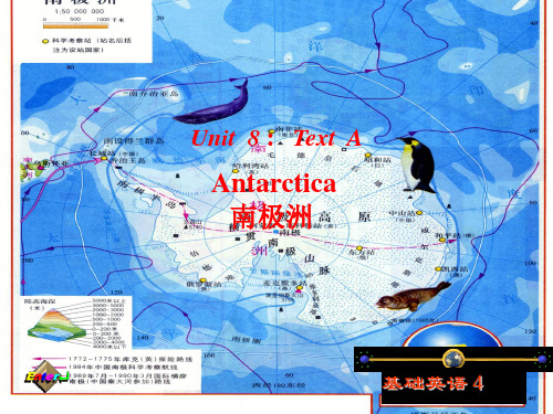 Antarctic   南极洲