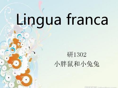 Lingua franca 社会语言学