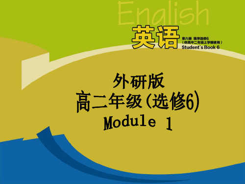 高中英语Module 1 Small Talk 优秀课件4