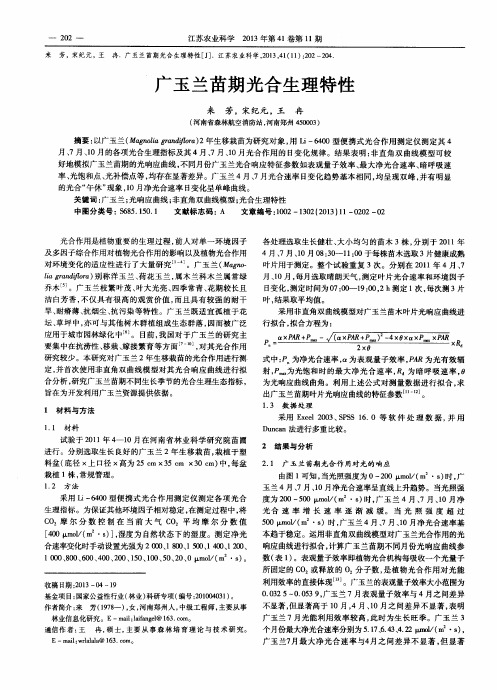广玉兰苗期光合生理特性