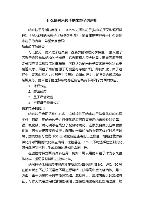 什么是纳米粒子纳米粒子的应用