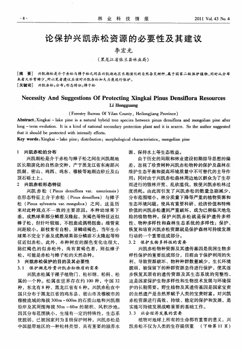 论保护兴凯赤松资源的必要性及其建议