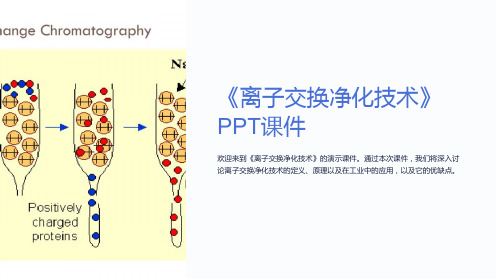 《离子交换净化技术》课件