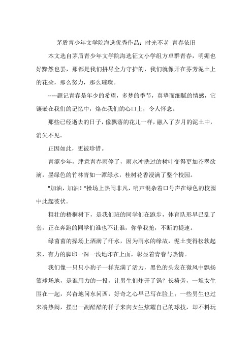 茅盾青少年文学院海选优秀作品:时光不老青春依旧-作文