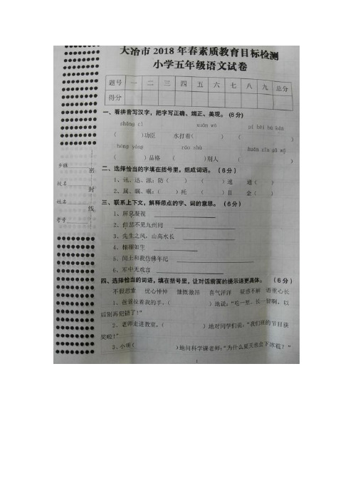 【5套打包】长春版小学五年级期末语文下册考试测试卷及答案(1)