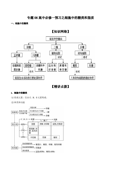 专题06 高中必修一预习之细胞中的糖类和脂质-2019年新高一生物初高衔接精品课程(解析版)