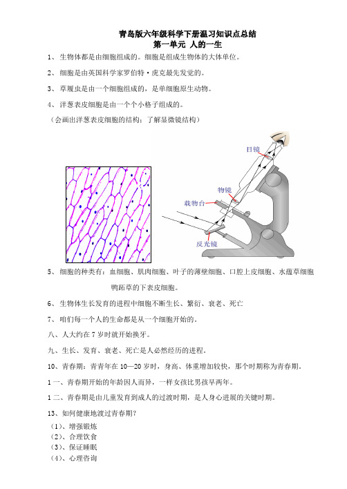 青岛版六年级下册科学(全册)知识点总结及试题、实验设计2