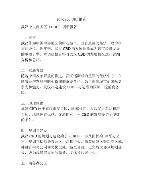 武汉cbd调研报告