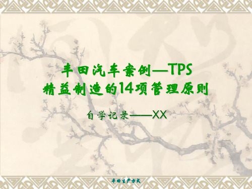 003某汽车案例TPS