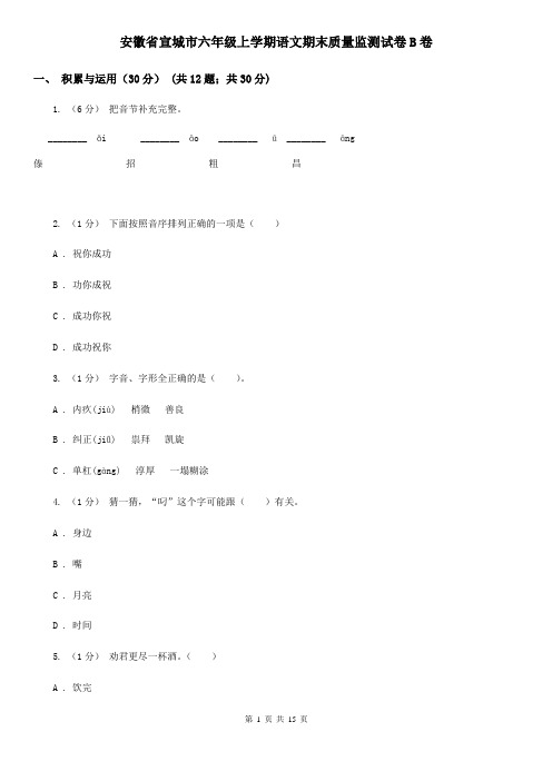 安徽省宣城市六年级上学期语文期末质量监测试卷B卷