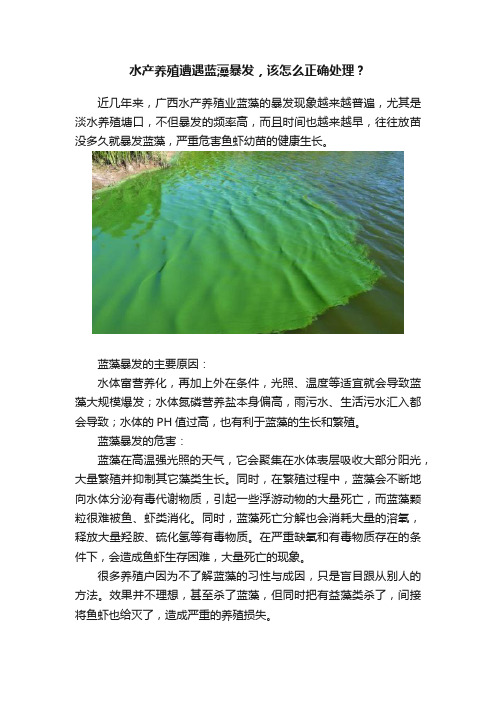 水产养殖遭遇蓝藻暴发，该怎么正确处理？