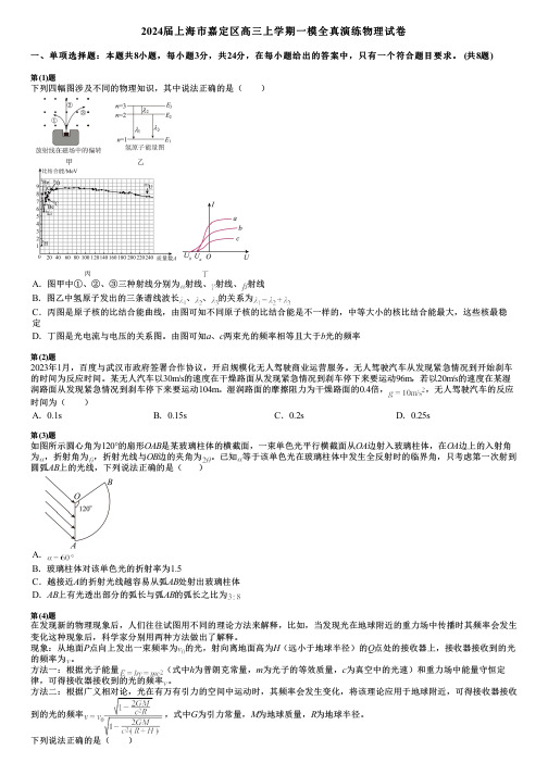 2024届上海市嘉定区高三上学期一模全真演练物理试卷