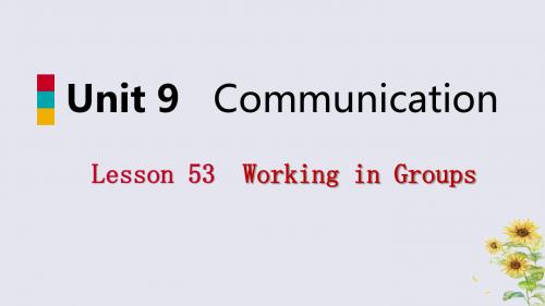 2019九年级英语下册 Unit 9 Communication Lesson 53 Working in Groups讲义 冀教版.ppt