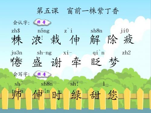 5 窗前一株紫丁香_生字词学习