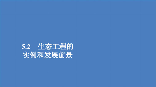 2019_2020高中生物专题5生态工程2生态工程的实例和发展前景课件新人教版选修3