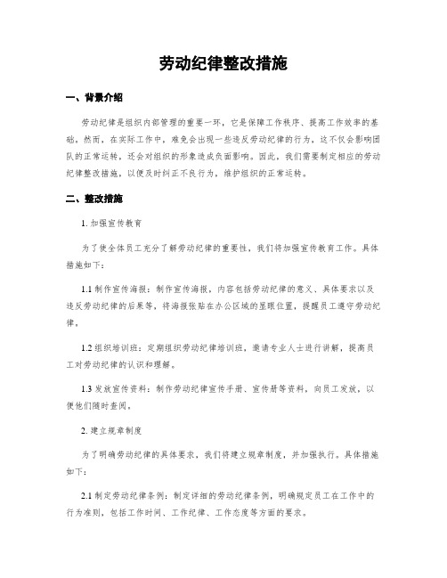 劳动纪律整改措施