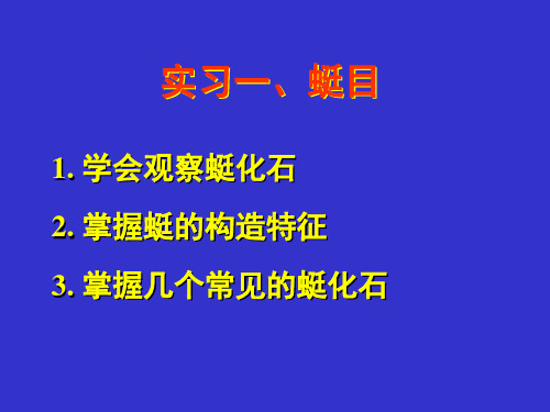 实习一、蜓目