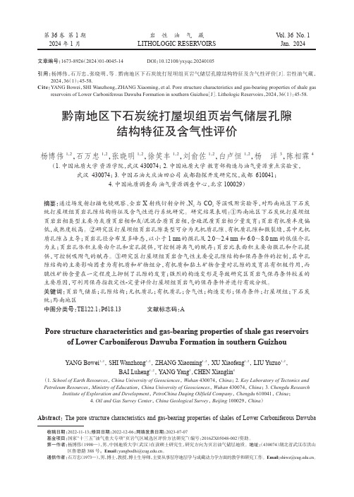 黔南地区下石炭统打屋坝组页岩气储层孔隙结构特征及含气性评价