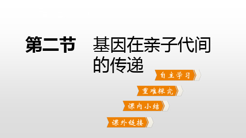 2020年春生物人教版八年级下 7.2.2基因在亲子代间的传递 课件(17张ppt)