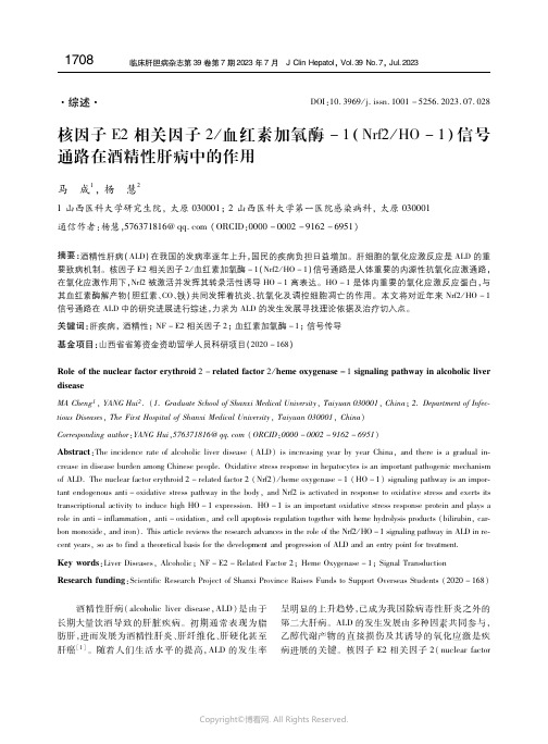 核因子Ｅ２_相关因子２_／血红素加氧酶－１（Ｎｒｆ２_／_ＨＯ_－１）信号通路在酒精性肝病中的作用