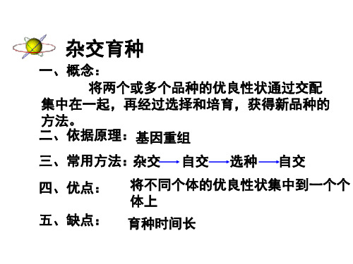 人教版高中生物必修二第六章复习课件