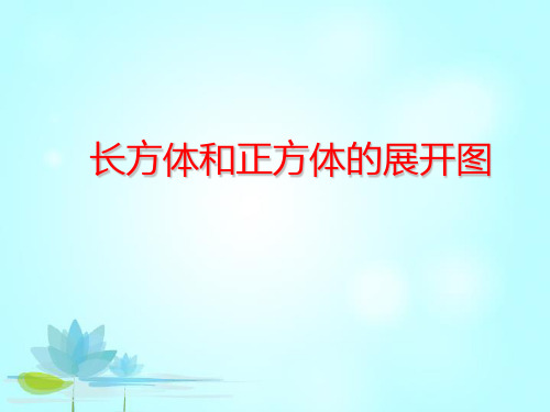 长方体和正方体的展开图2