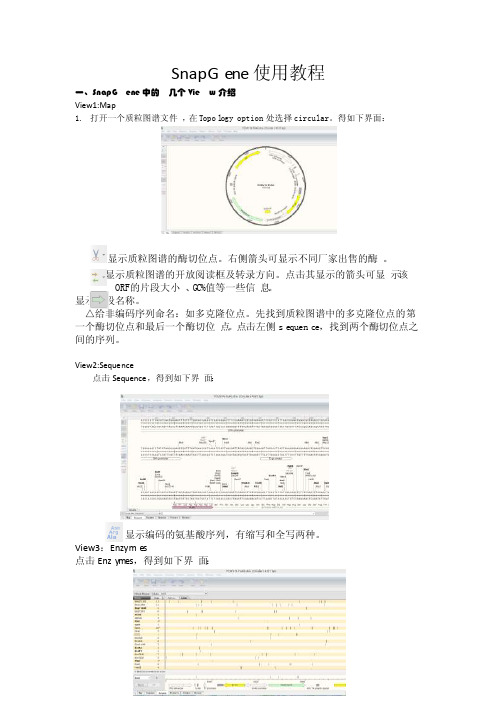 SnapGene中文使用教程