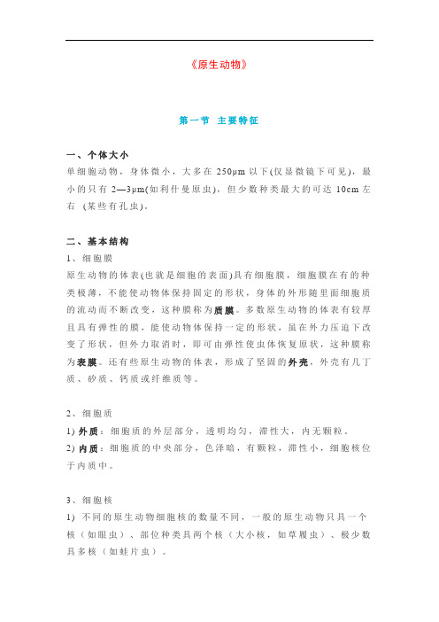 《原生动物》