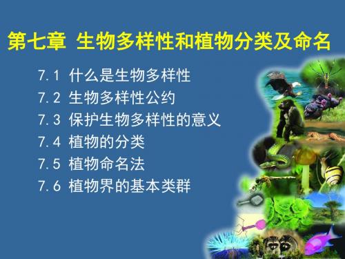 2019年第七章生物多样性和植物分类及命名.ppt