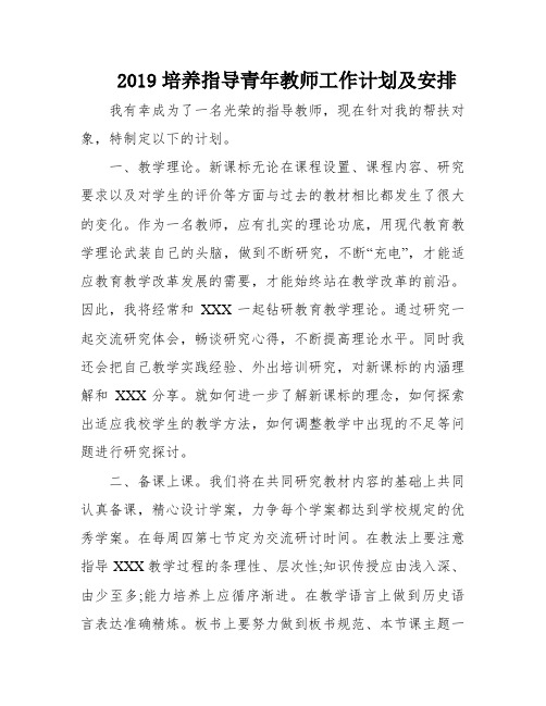 2019培养指导青年教师工作计划及安排