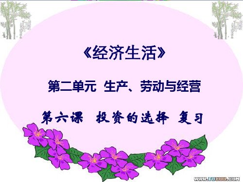 《经济生活》第六课 投资的选择复习课件