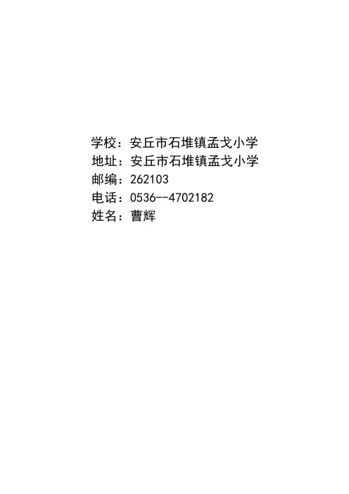 山东安丘市石堆镇孟戈小学曹辉